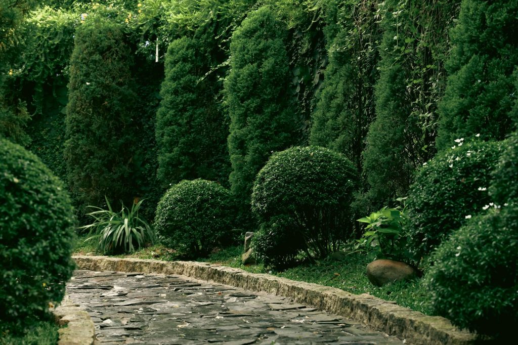 Landscapes With Lasting Character