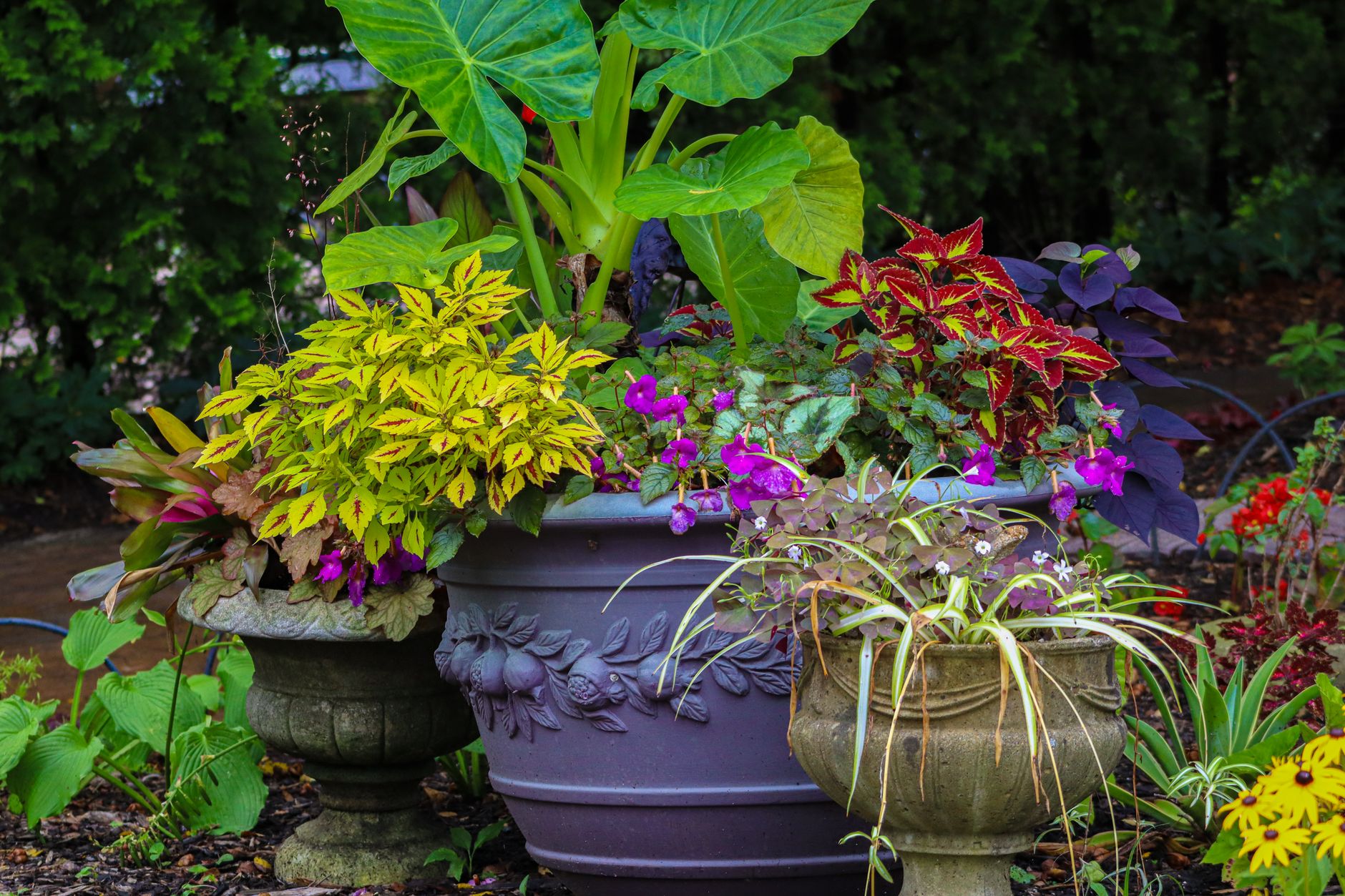Choosing Plants for Atlanta’s Climate